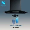 Napolean chimney VOICE 60