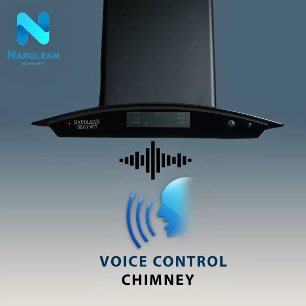 Napolean chimney VOICE 60