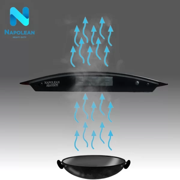 Napolean chimney VOICE 60