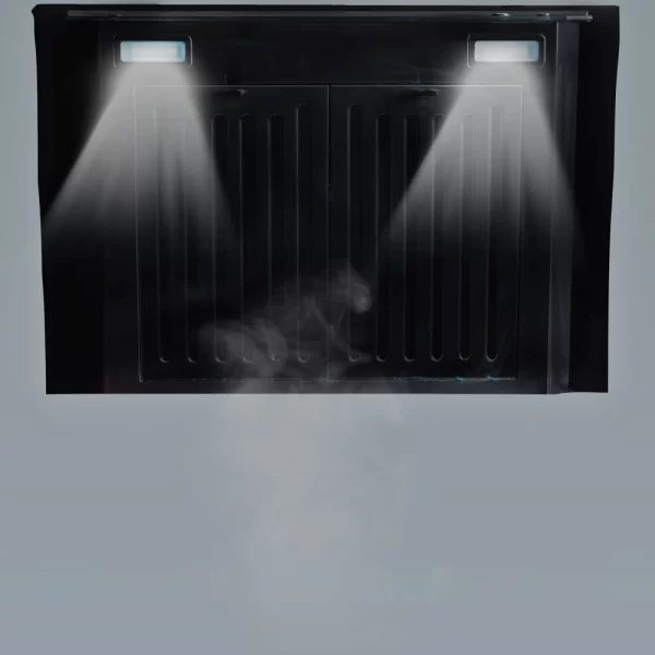 Napolean chimney VOICE 60